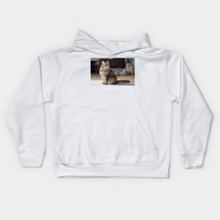 Maine Coon Cat Digital Painting Kids Hoodie